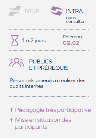 pratique-audit-qualite-interne
