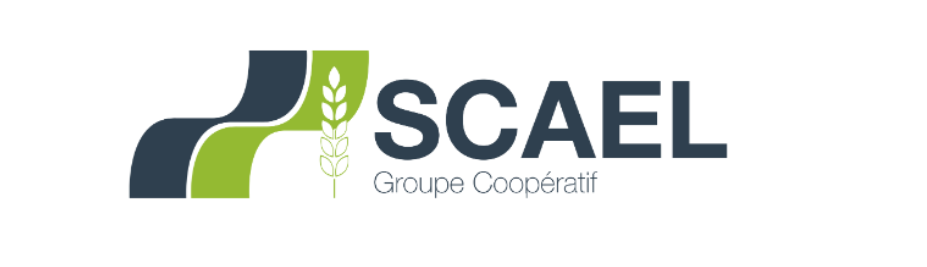 group-scael-logo